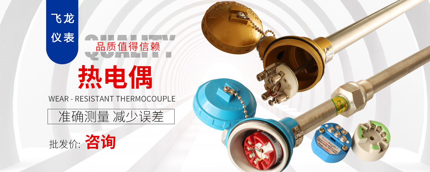 上海飛龍儀表電器